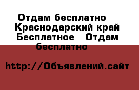 Отдам бесплатно  - Краснодарский край Бесплатное » Отдам бесплатно   